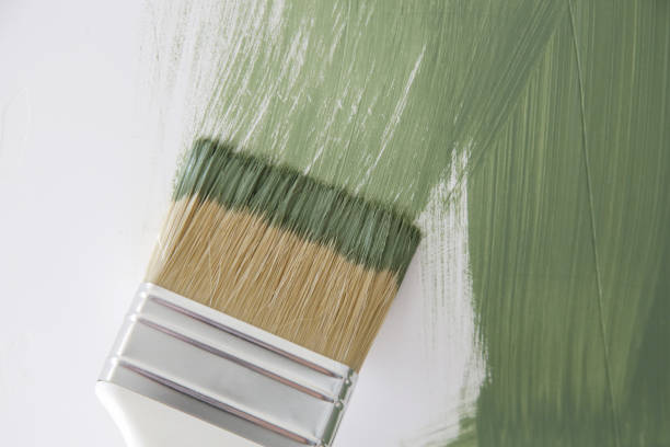 Best Mold Damage Restoration  in Glen Rock, NJ